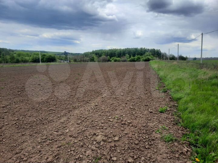 Участок 15 сот. (ИЖС)