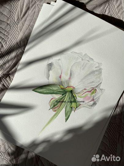Цветы акварелью картина подарок