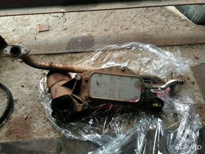 Радиатор масляный всборе Шевролет Авео 1.4л F14D4