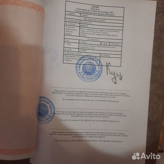 Загс Украины получение документов без доверенности