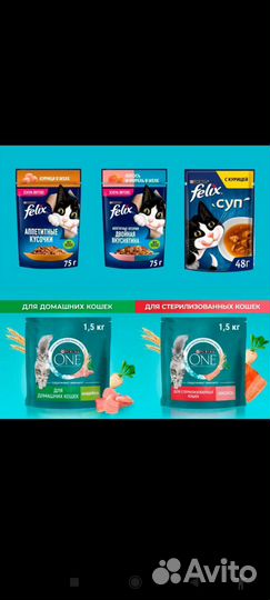 Корм для кошек