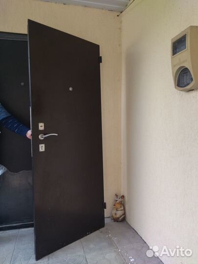 Дверь входная металлическая с доставкой