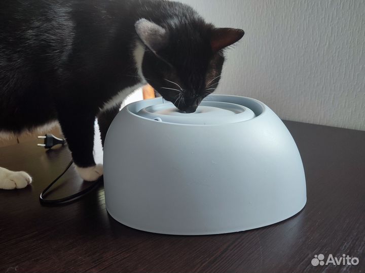 Фонтанчик для кошек и собак iMac pet fountain