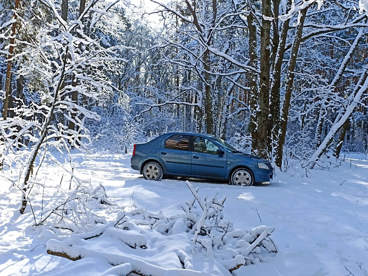 Renault Logan: фото владельца