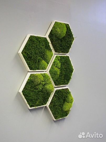 Декор Мох