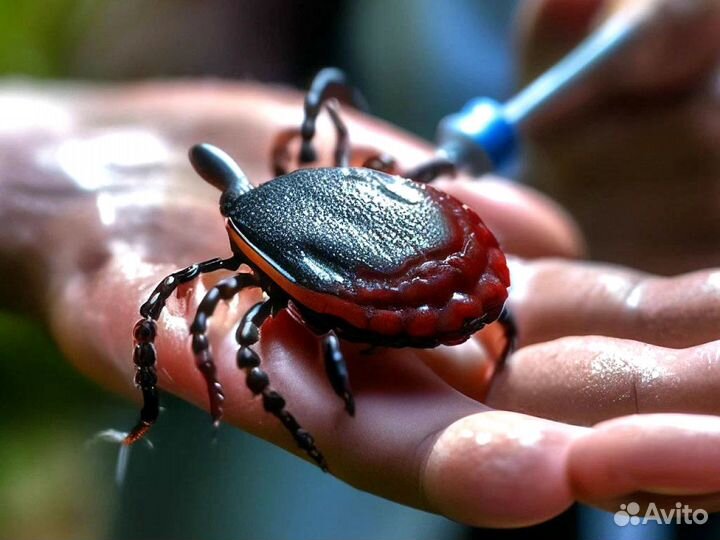 Уничтожение клещей, обработка комаров муравьев ос