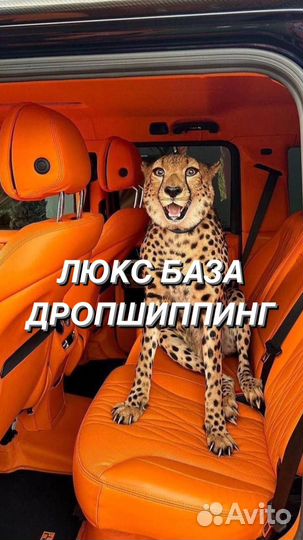 Дропшиппинг с нуля