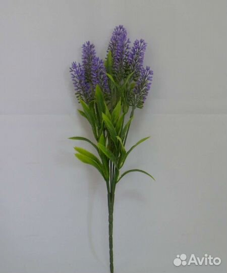 Муляж(слива и киви), лаванда для интерьера