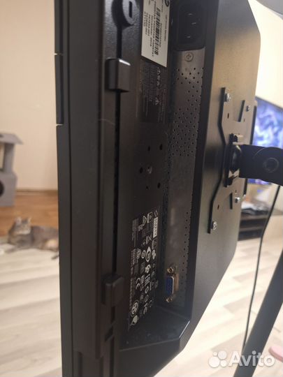 Монитор HP ProDisplay P17A