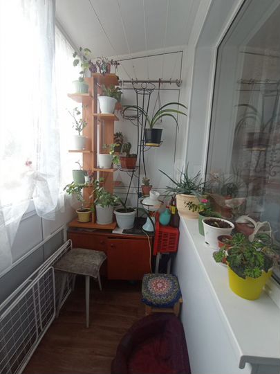 3-к. квартира, 55,6 м², 2/2 эт.