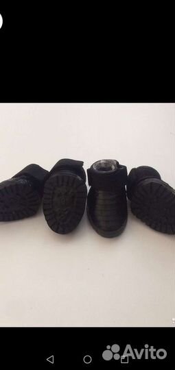 Обувь для собак