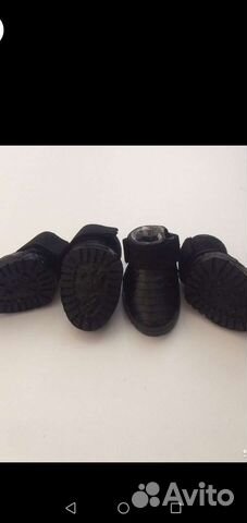 Обувь для собак