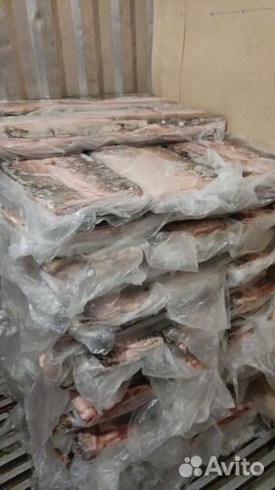 Рыба свежемороженая судак/щука