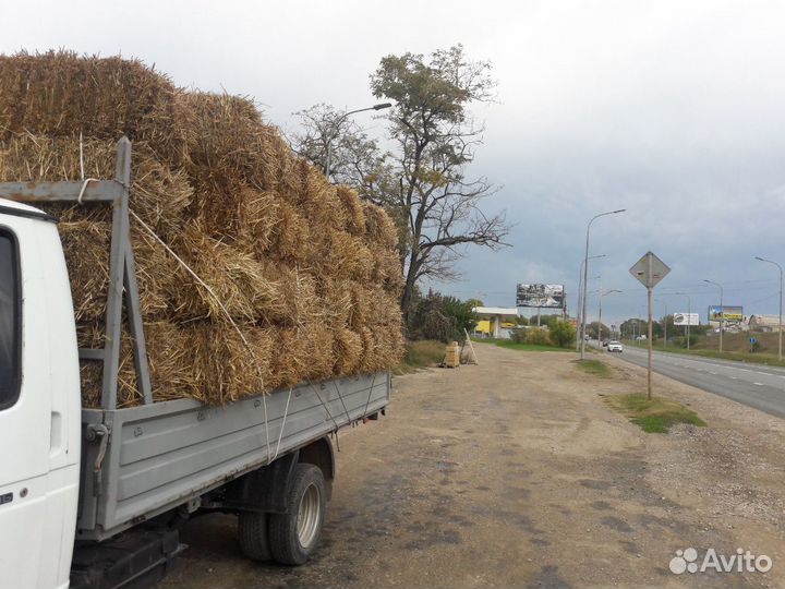 Солома. Каменка ехать вам придется по асфальту. Се
