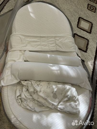 Кокон зевушка