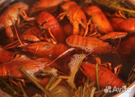 Раки вареные
