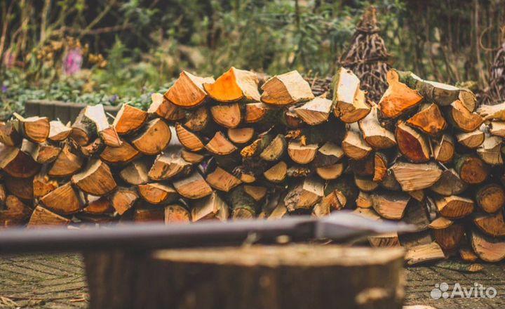 Дрова с Приморска