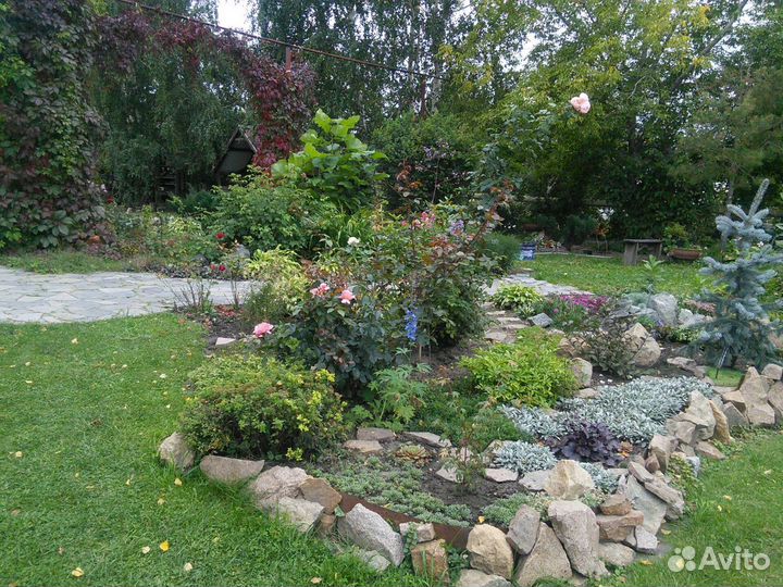 Многолетники