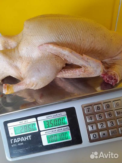 Домашнее мясо уточек, гусей, кроликов