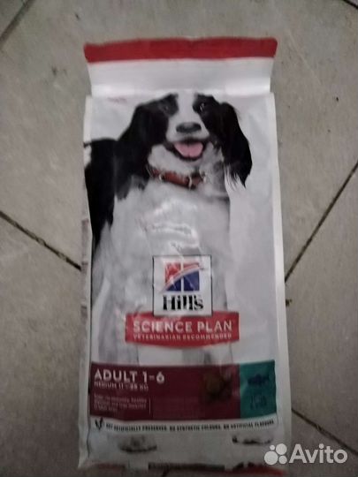 Корм для собак