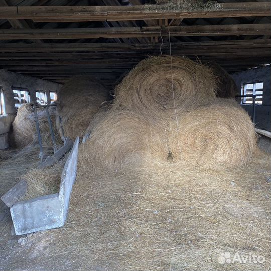 Сено салома