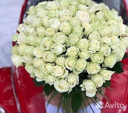 Высокие розы Гигантские розы 110