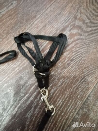 Шлейка для собаки
