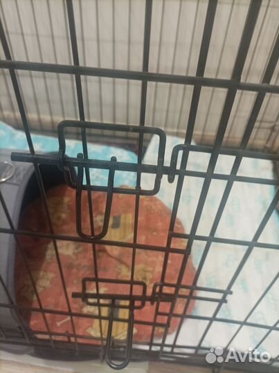 Клетка вольер