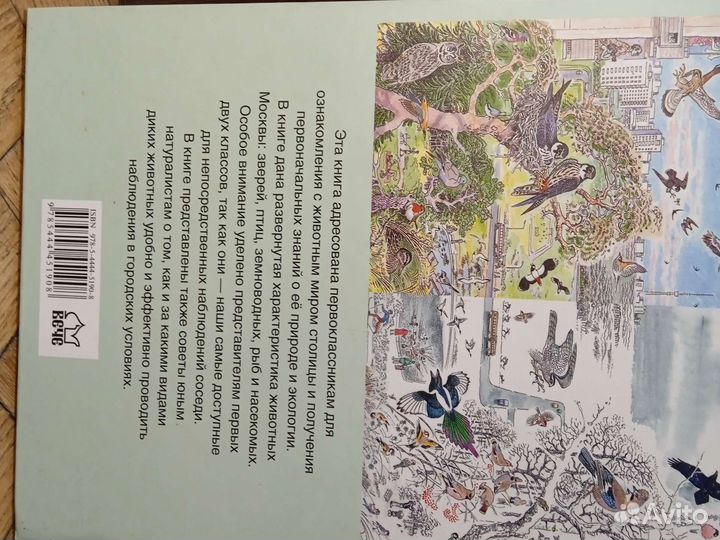 Кто живёт рядом с нами