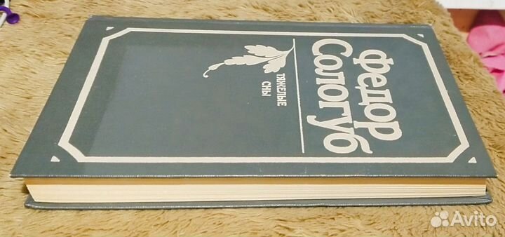 Федор Сологуб. Таёжные сны