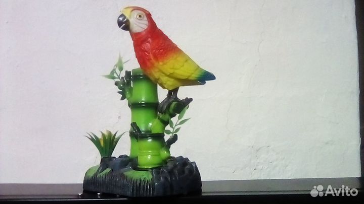 Попугай на ветке