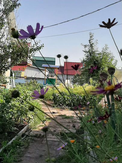 Дом 60 м² на участке 7 сот.