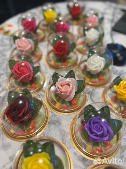 Роза под куполом