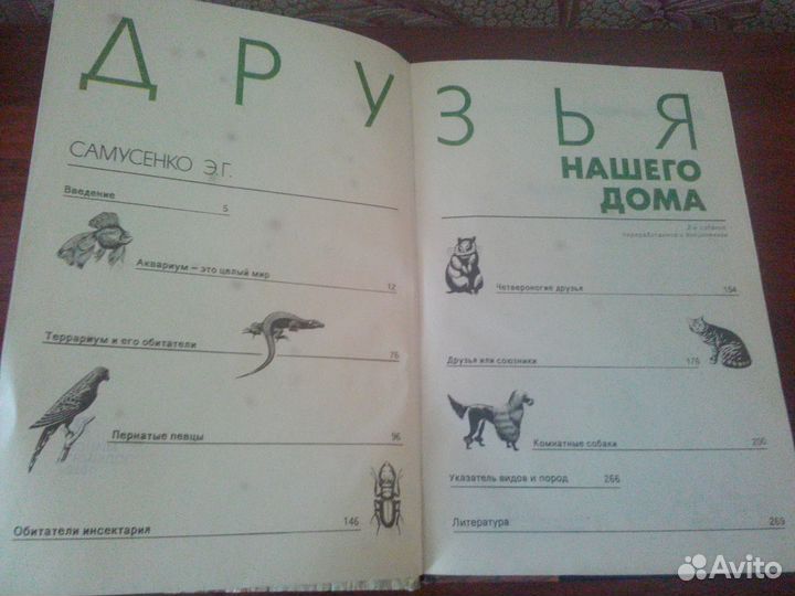 Пернатые/Террариум/ Кошки/собаки