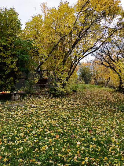 Дом 32 м² на участке 50 сот.