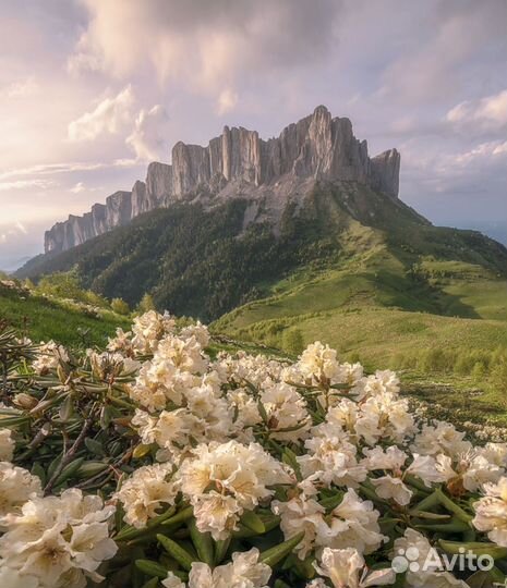 Поход на Большой и Малый Тхач
