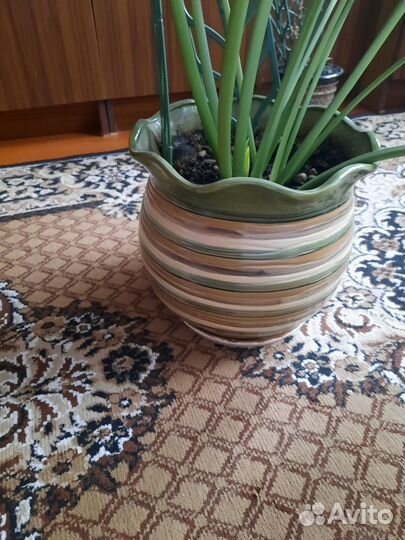 Керамические горшок для цветов