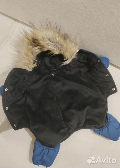 Комбинезон для маленькой собаки