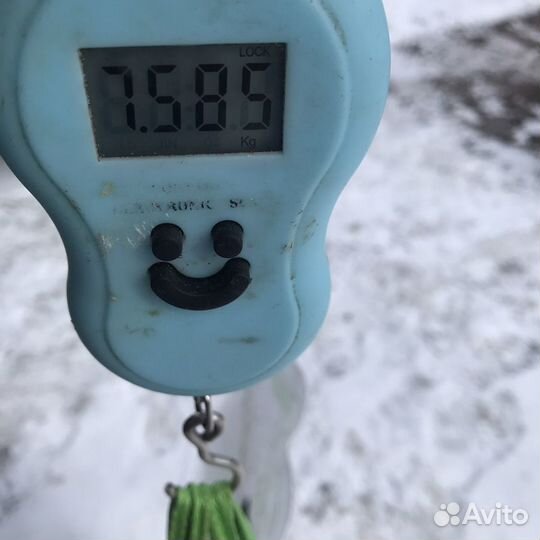 Продам кроликов