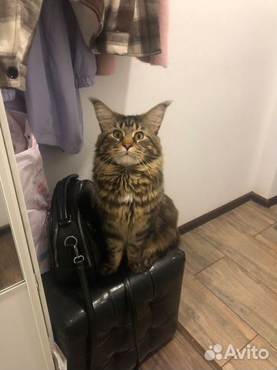 Мейкун вязка