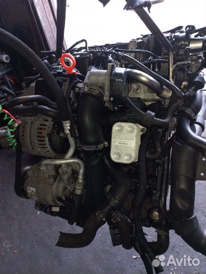 Двигатель CAY Volkswagen Golf 6 0.0 0