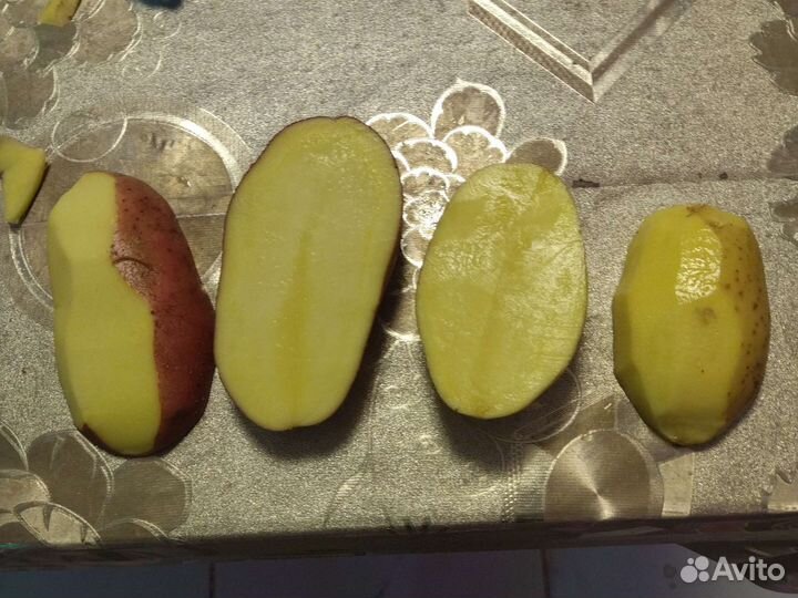 Картофель белый и розовый без болячек крупная