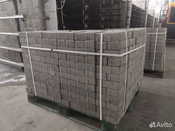 Плитка тротуарная 100х200х60