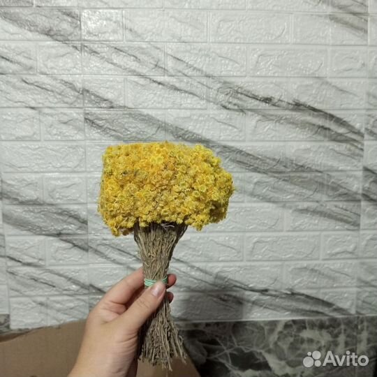 Травы для бани