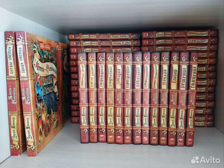 Книги Коты-Воители