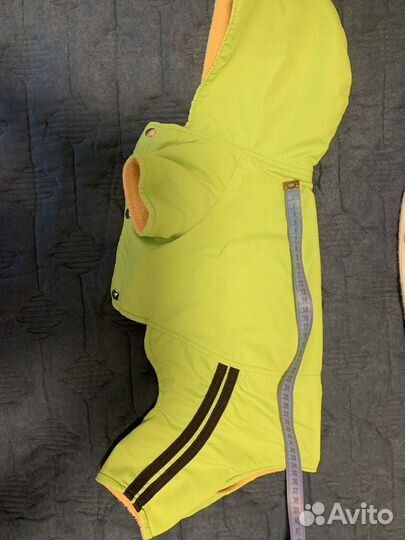 Одежда для собаки