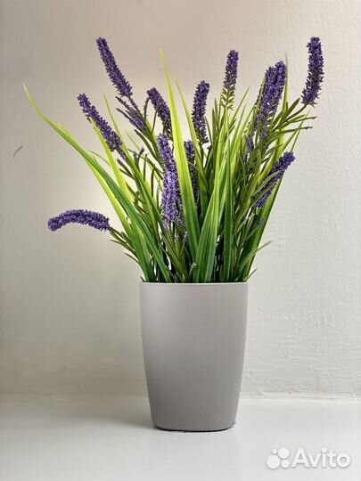 Зелень в горшке