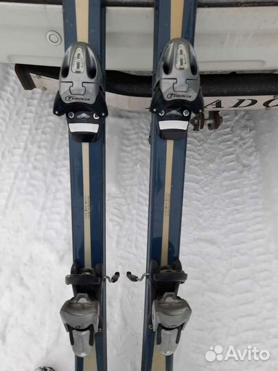 Горные лыжи