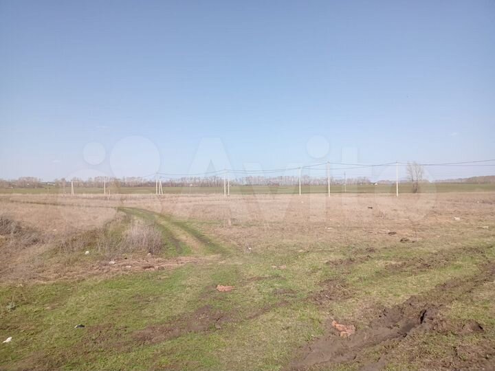 Участок 10,7 сот. (ИЖС)