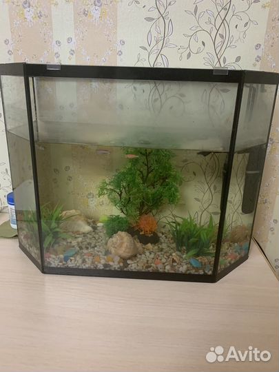 Аквариум